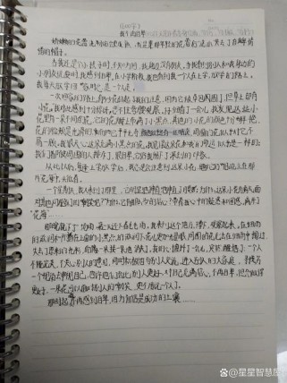 我不在自卑作文500