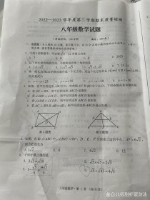 八年级上册巴蜀英才数学重点难点解析？
