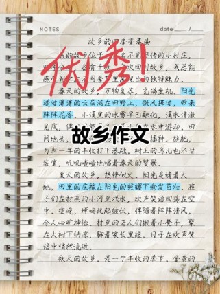 中考满分作文 家乡