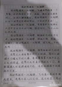 中考满分作文我真想，究竟想诉说什么？