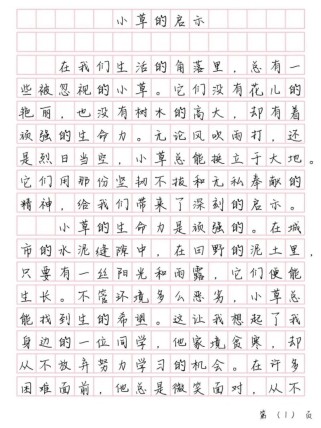 生活中的启示作文500字