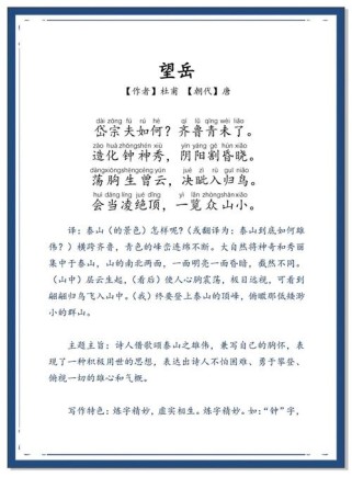 望岳如何体现杜甫青年时的豪情与抱负？