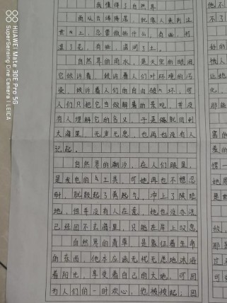 七年级上册语文期中作文写什么？