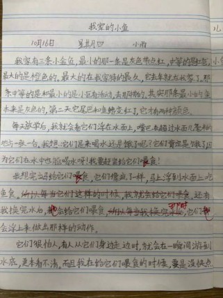 观察日记初中作文