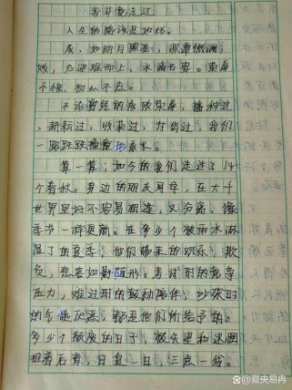走过我的初中作文，藏着多少成长秘密？