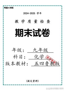 鲁教版九年级化学测试题重点难点有哪些？