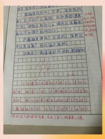 满分作文如何炼成？评语藏着哪些高分密码？