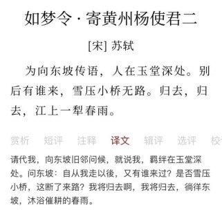 如梦令后还有哪些经典词牌？