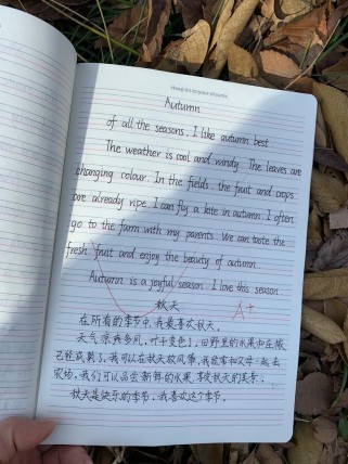 关于秋天的作文英语