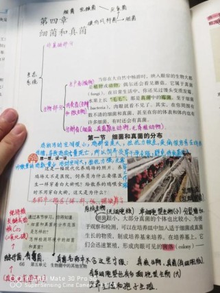 八年级上册科学第四章核心知识点是什么？