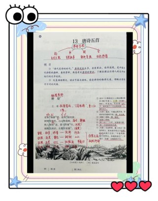 八语课外古诗教学实录，如何高效落实？