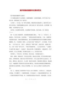 想象的翅膀 作文