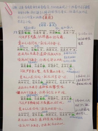 蒹葭中考默写易错点在哪？