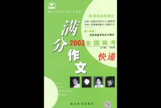 满分作文2005，满分标准是什么？