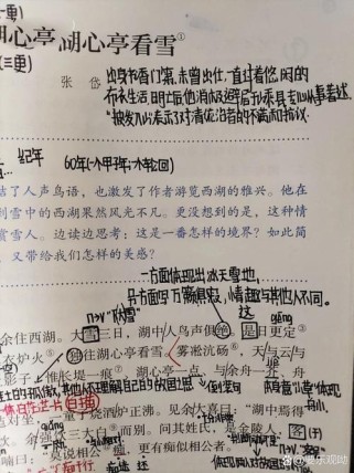 张岱为何独往湖心亭看雪？