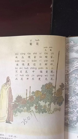 古诗菊花全文阅读答案