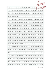 过年作文500字，写的是哪些年味故事？