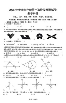 九年级下册数学测试题