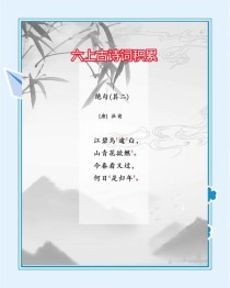 杜甫四年级的诗句有哪些