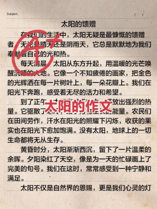 是温暖的太阳作文藏着怎样的温暖故事？