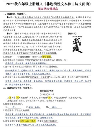六年级语文阅读理解训练及答案