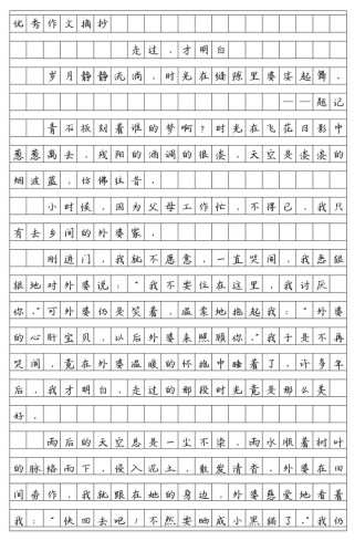 中考满分作文700