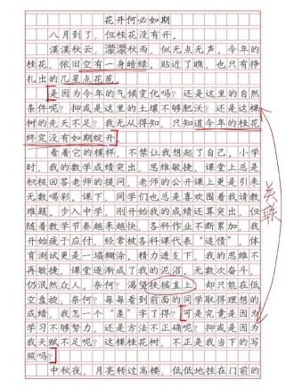 古诗如何伴我成长？