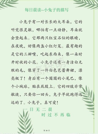 小学三年级作文150字能写啥？