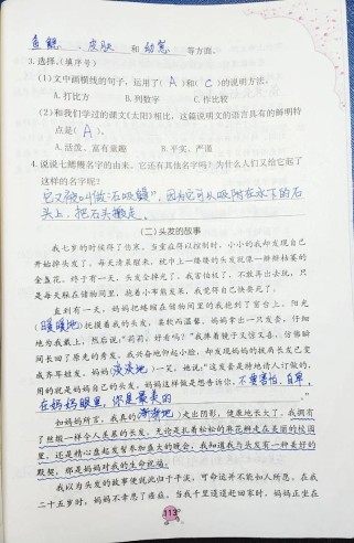 巩固与提高七年级上册，如何高效提升学习效果？