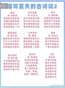 哪句古诗词最能道尽夏日风情？