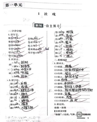 八年级语文配套练习册如何高效使用？