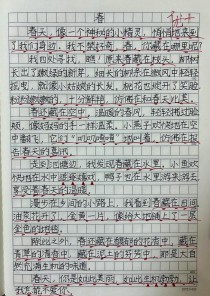 春天还在，作文写什么？