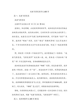 我曾经飞过作文600字