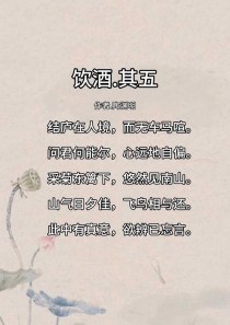 饮酒诗中何为真意？