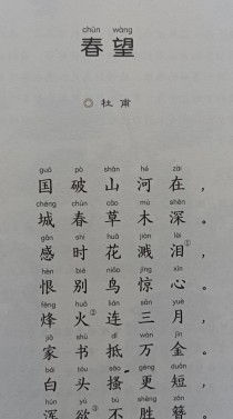 春望阅读题考点与答案解析是什么？