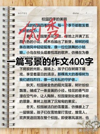 一景一物总关情，情在何处？