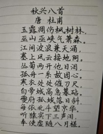 八年级上册杜甫古诗有何深意？