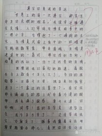 我真幸运成为你的作文，幸运的是作文还是人？