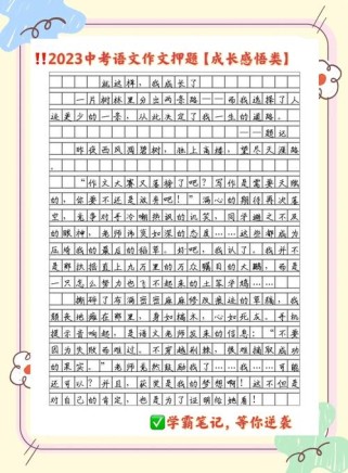 我终于说了公道话作文