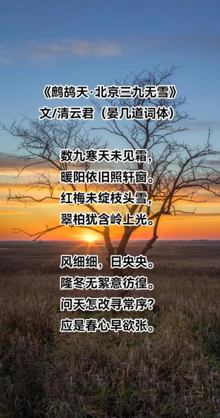 描绘三九的古诗词句