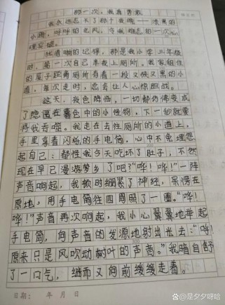 该写什么才真？