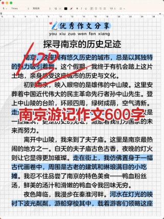 南京游作文，高中生如何写出彩？