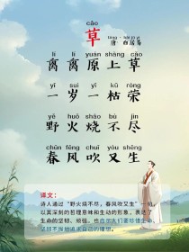 古诗两首草的教学视频如何高效学习？