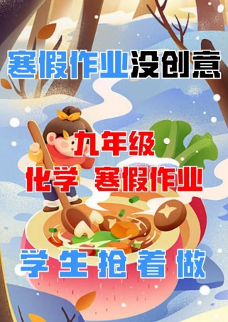 2025九年级寒假作业有何重点与难点？