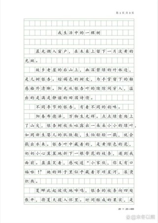 一棵树藏着怎样的生命故事？