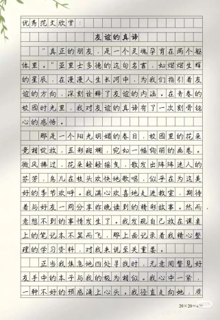 友谊中考满分作文