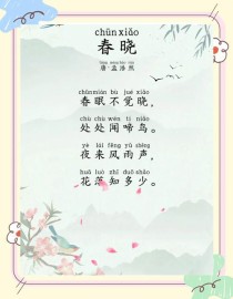 一年级语文春晓PPT如何教孩子学懂古诗？