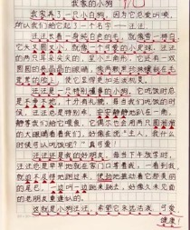 三年级常考的作文有哪些