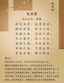 龟虽寿古诗词导入语