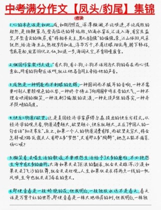 以凤头 豹尾的作文